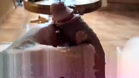 lucky_og24 online show from December 27, 2024, 10:37 pm