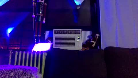 King420 online show from January 11, 2025, 5:20 am