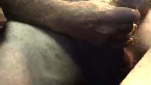 Snapshot of lukestarfckr chatting on October 5, 2025, 5:50 am lukestarfckr online show from October 5, 2025, 5:50 am