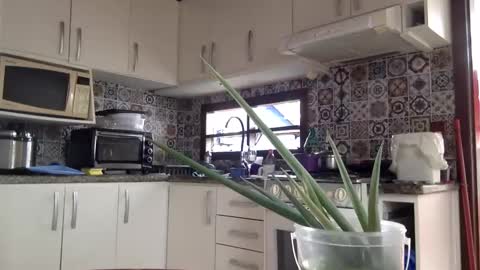 lucifer online show from February 18, 2025, 4:05 pm