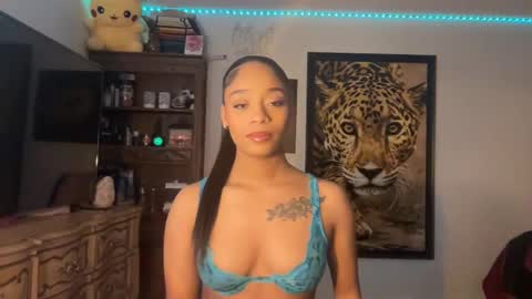 Snapshot of lunaa_11 chatting on January 13, 2025, 6:06 am lunaa_11 online show from January 13, 2025, 6:06 am