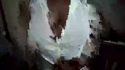 Nessy online show from October 20, 2025, 12:22 am