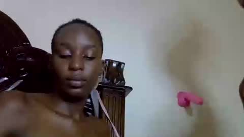 lutino_lovebirds online show from April 11, 2026, 7:51 pm