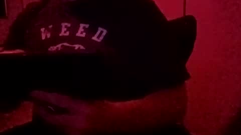 Luv2tokNstrok online show from November 3, 2025, 10:49 am