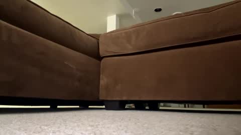 luv_2_master_bate online show from September 23, 2025, 7:06 pm