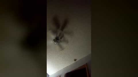 Snapshot of lvckthegoat chatting on March 12, 2026, 8:09 am lvckthegoat online show from March 12, 2026, 8:09 am