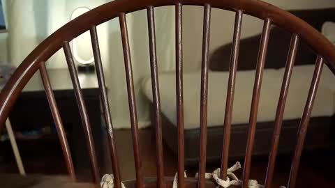 hi im Lyle online show from February 27, 2025, 6:18 am