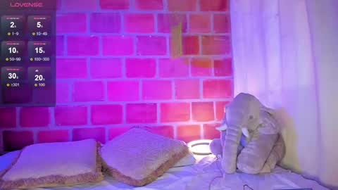   online show from February 13, 2025, 7:10 pm