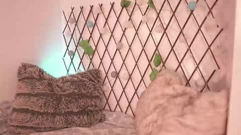 Noah Askew online show from November 28, 2025, 7:27 pm