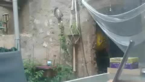 Snapshot of mad2moi_off chatting on June 16, 2026, 7:05 pm mad2moi online show from June 16, 2026, 7:05 pm
