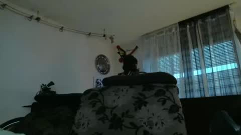 Snapshot of mad_dem0n chatting on December 17, 2024, 3:39 pm Manuel online show from December 17, 2024, 3:39 pm