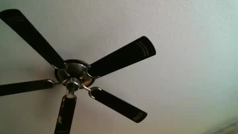 Snapshot of mad_dem0n chatting on January 5, 2025, 12:31 am Manuel online show from January 5, 2025, 12:31 am