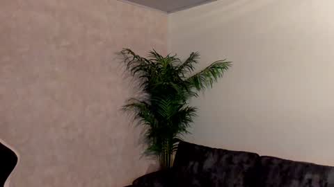 Maddox Santana online show from December 3, 2024, 12:57 am