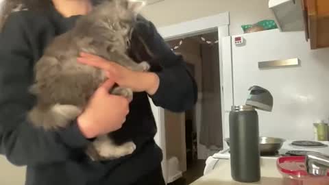 maddyhasyummypussy online show from December 15, 2025, 12:48 am