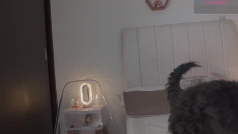 Valentina   1030   530  -  online show from February 14, 2026, 6:21 am