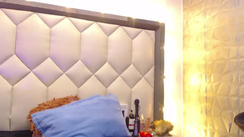 Snapshot of maiapark chatting on January 22, 2025, 8:49 pm Maia  online show from January 22, 2025, 8:49 pm
