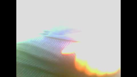 maioris6 online show from February 22, 2025, 8:07 am