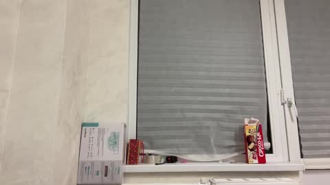 Tom and Mark 3 online show from January 25, 2025, 3:09 pm