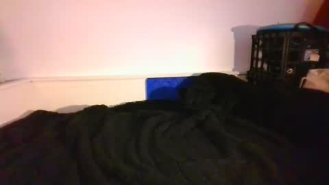 Snapshot of malebdsmslut chatting on December 14, 2024, 9:56 pm CommandbondageNipples bondage kink submissive lovense slave wgear. modequiethvyBondage If Password goldfish online show from December 14, 2024, 9:56 pm