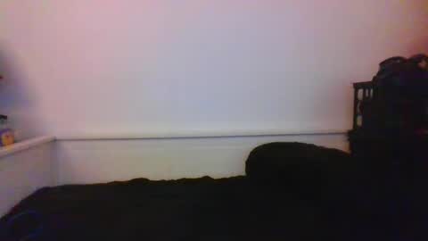 Snapshot of malebdsmslut chatting on January 24, 2025, 4:37 am CommandbondageNipples bondage kink submissive lovense slave wgear. modequiethvyBondage If Password goldfish online show from January 24, 2025, 4:37 am