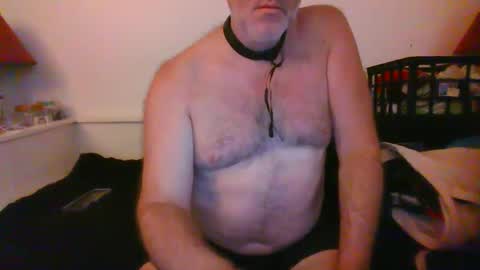 Snapshot of malebdsmslut chatting on September 27, 2025, 10:20 am CommandbondageNipples bondage kink submissive lovense slave wgear. modequiethvyBondage If Password goldfish online show from September 27, 2025, 10:20 am