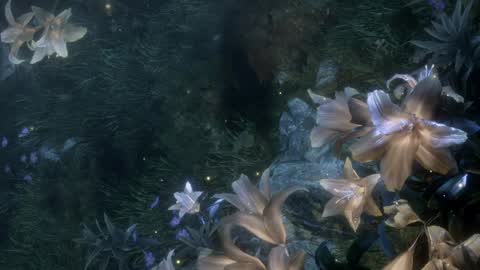 piu online show from April 2, 2026, 2:26 pm