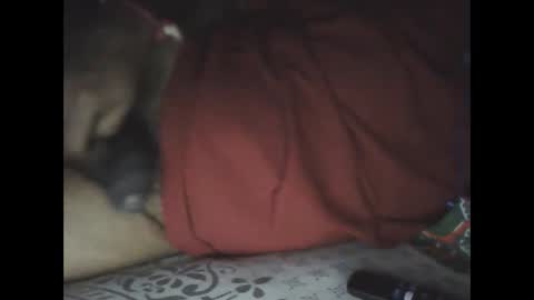 Snapshot of mallik63040 chatting on February 24, 2025, 6:04 pm Sree0703 online show from February 24, 2025, 6:04 pm