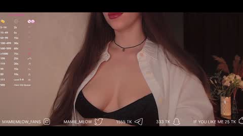 Snapshot of mamiemeow chatting on February 3, 2025, 1:30 pm Your Miss Alice online show from February 3, 2025, 1:30 pm