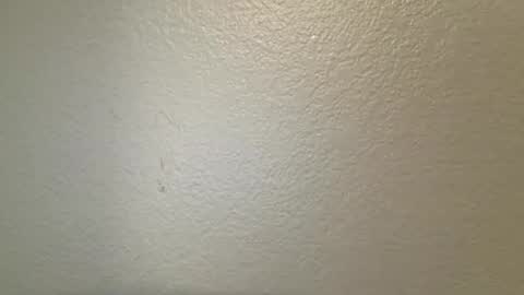 mamiilatina2500 online show from March 24, 2026, 4:45 pm