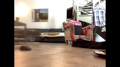 man38110 online show from February 14, 2025, 6:51 pm