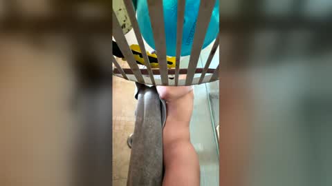 manny764065 online show from February 7, 2026, 1:26 pm