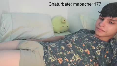 Snapshot of mapache1177 chatting on February 24, 2026, 6:00 am mapache1177 online show from February 24, 2026, 6:00 am