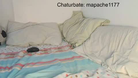 mapache1177 online show from May 21, 2026, 6:59 pm