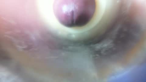 Snapshot of marcsexxy chatting on February 6, 2026, 11:41 pm Marc online show from February 6, 2026, 11:41 pm