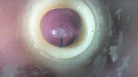 Snapshot of marcsexxy chatting on February 8, 2026, 7:06 pm Marc online show from February 8, 2026, 7:06 pm