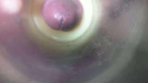 Snapshot of marcsexxy chatting on February 19, 2026, 8:49 pm Marc online show from February 19, 2026, 8:49 pm