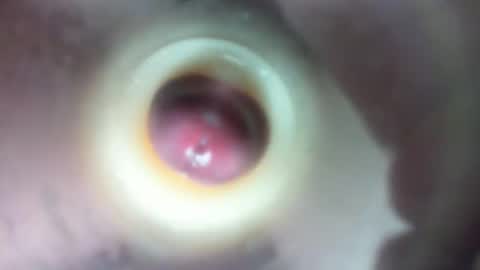 Snapshot of marcsexxy chatting on February 23, 2026, 1:58 am Marc online show from February 23, 2026, 1:58 am