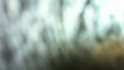 Snapshot of marcsexxy chatting on March 26, 2026, 2:28 am Marc online show from March 26, 2026, 2:28 am