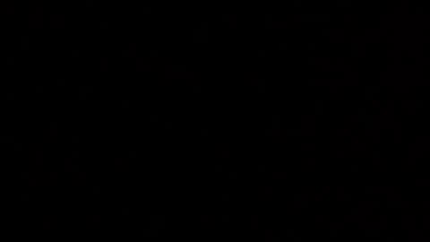 Elle online show from December 4, 2025, 2:10 am