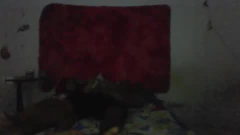 casal delicia online show from February 1, 2026, 9:13 pm