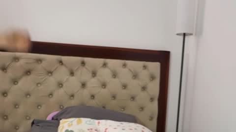 Antonia online show from October 4, 2025, 6:17 pm