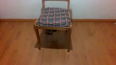 Maripaula369 online show from February 22, 2025, 3:23 am