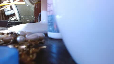 LEAH online show from March 9, 2025, 4:05 am