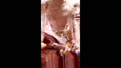 marki_2816 online show from February 23, 2026, 10:34 am