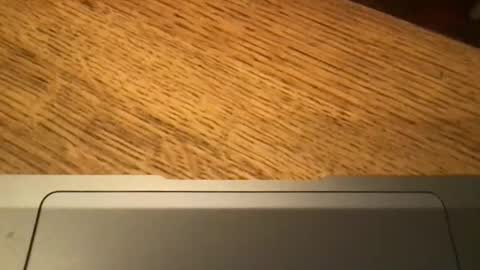 marklondonguy2023 online show from November 27, 2025, 9:22 am