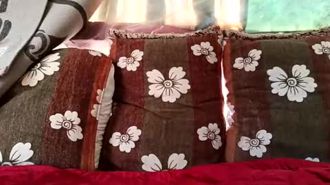 Snapshot of marocreda33 chatting on February 10, 2025, 10:20 am marocreda33 online show from February 10, 2025, 10:20 am