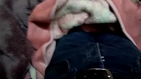 Snapshot of marocreda33 chatting on March 11, 2025, 5:57 pm marocreda33 online show from March 11, 2025, 5:57 pm