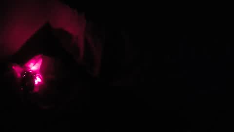 martamoontrans online show from October 8, 2025, 1:25 am