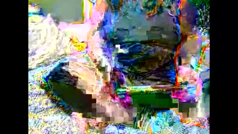 Martha online show from November 6, 2025, 7:09 am