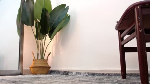 marthina thompson online show from December 24, 2024, 4:08 pm